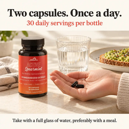 Active Spearmint